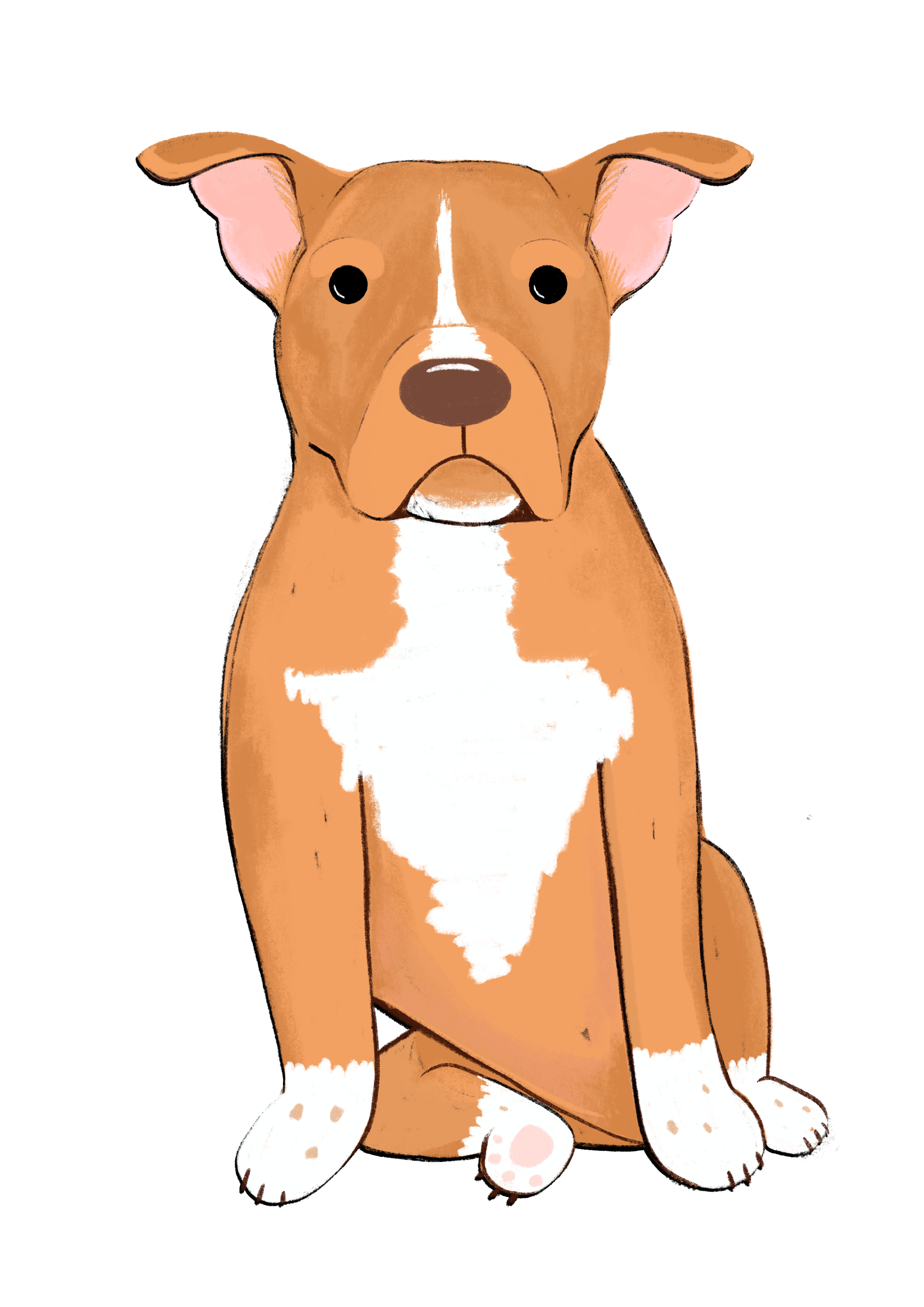 +1 Dog