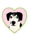 A stylized heart-shaped graphic featuring a black-and-white dog portrait centered on a pink background with a light green scalloped border, shown on a plain white background.